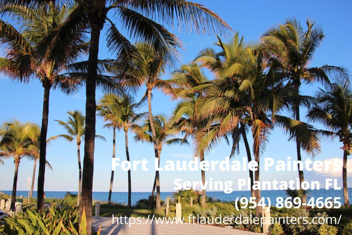 palms in Plantation FL in display with the business info of Fort Lauderdale Painters